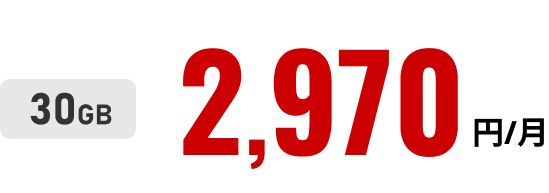 30GB 毎月2,970円