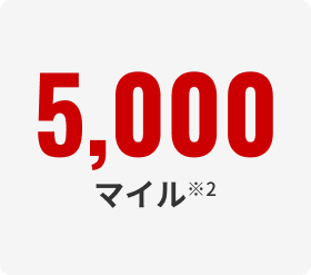 5,000マイル※1