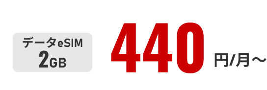データeSIM2GB 毎月440円～