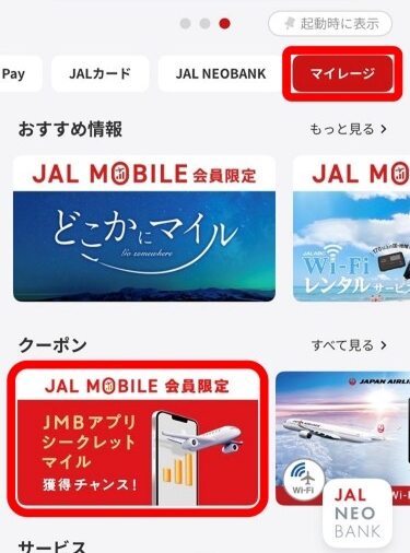 説明部分のスクリーンショット画像